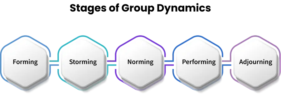 stages of group dynamics