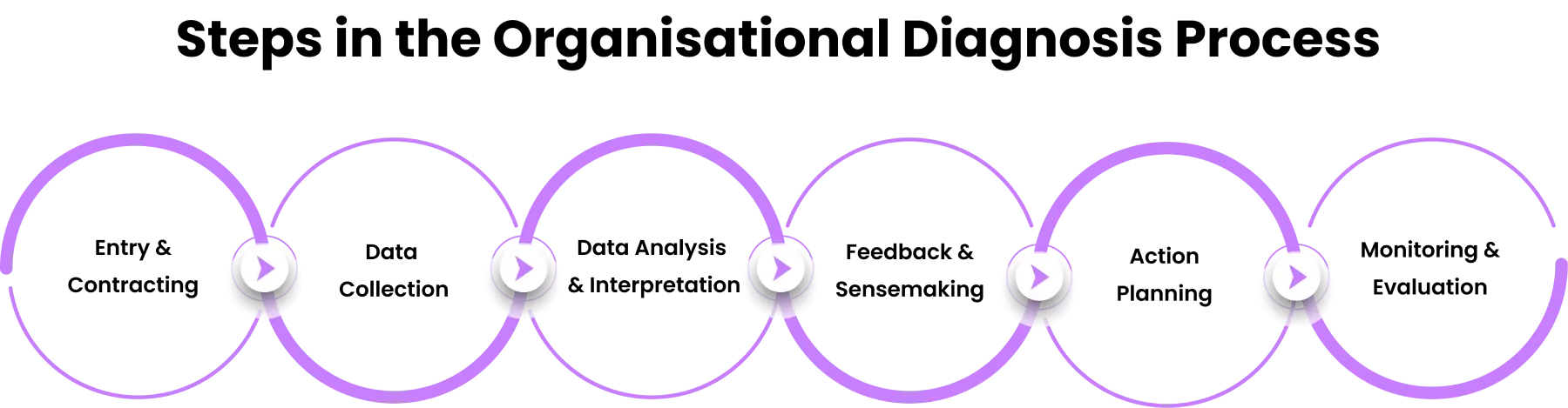 process of organizational diagnostic