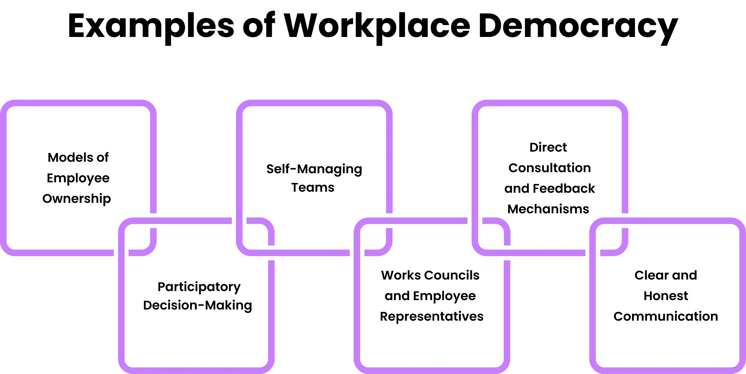 examples of workplace democracy